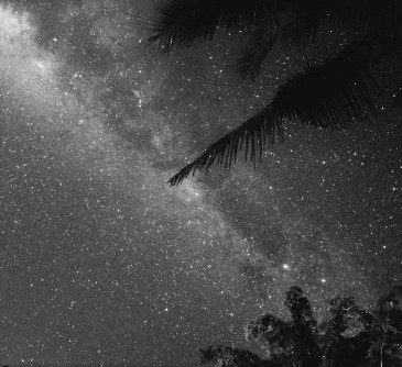 free fall night sky